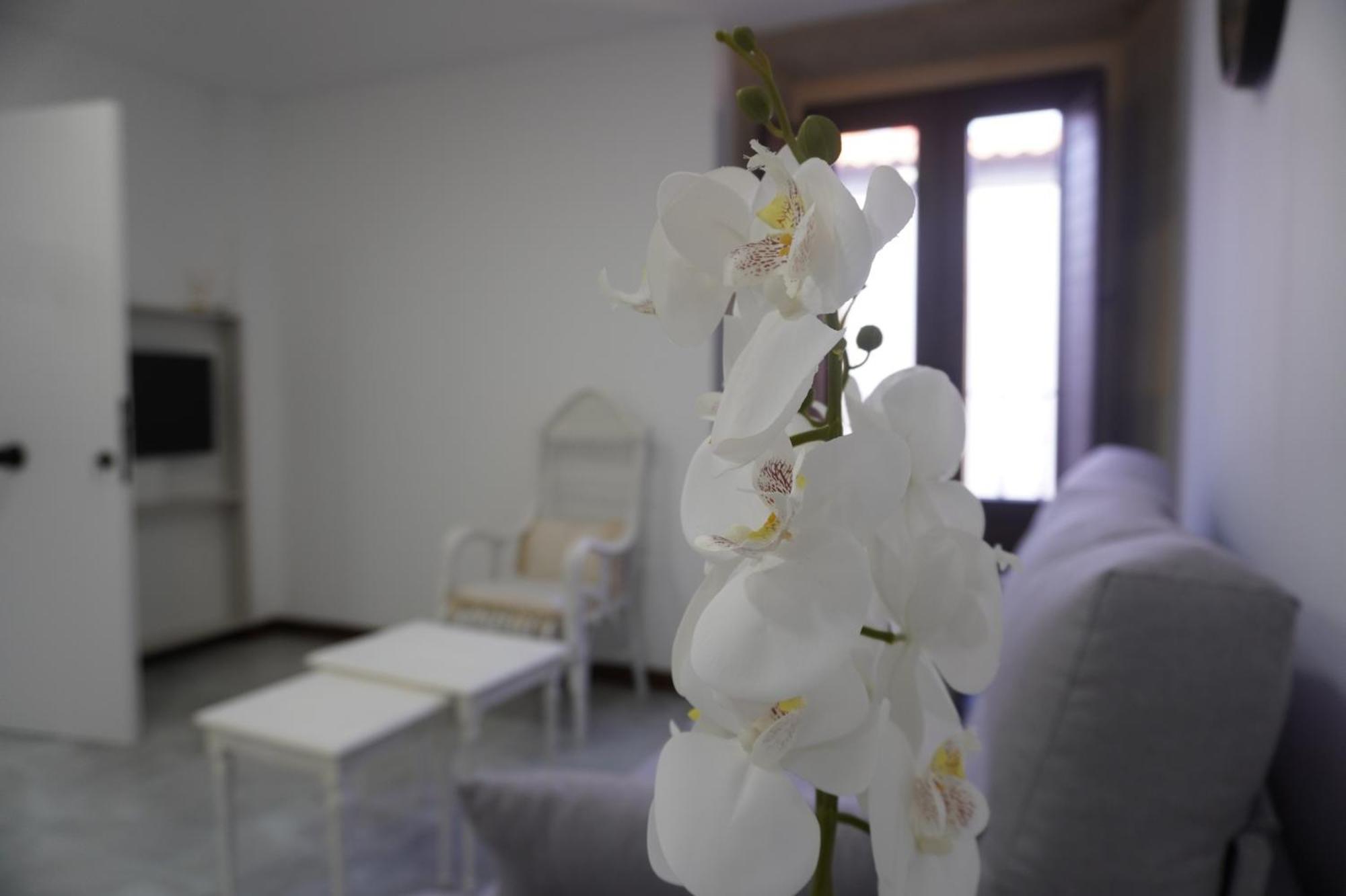 Apartamento Sanin 3 Lumbrales Eksteriør bilde